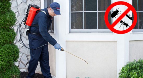 Burhaniye Kene İlaçlama böcek ilaçlama ve haşere kontrolü — ilaclama-tr.com